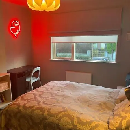 Family With Dublin Bay View 度假居 布莱克罗克