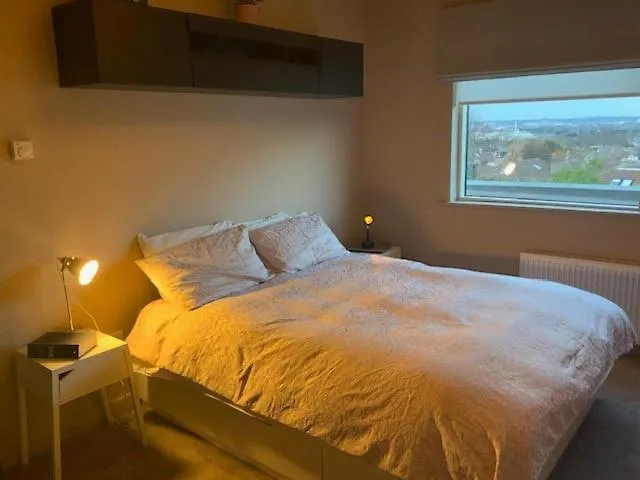 Family With Dublin Bay View *